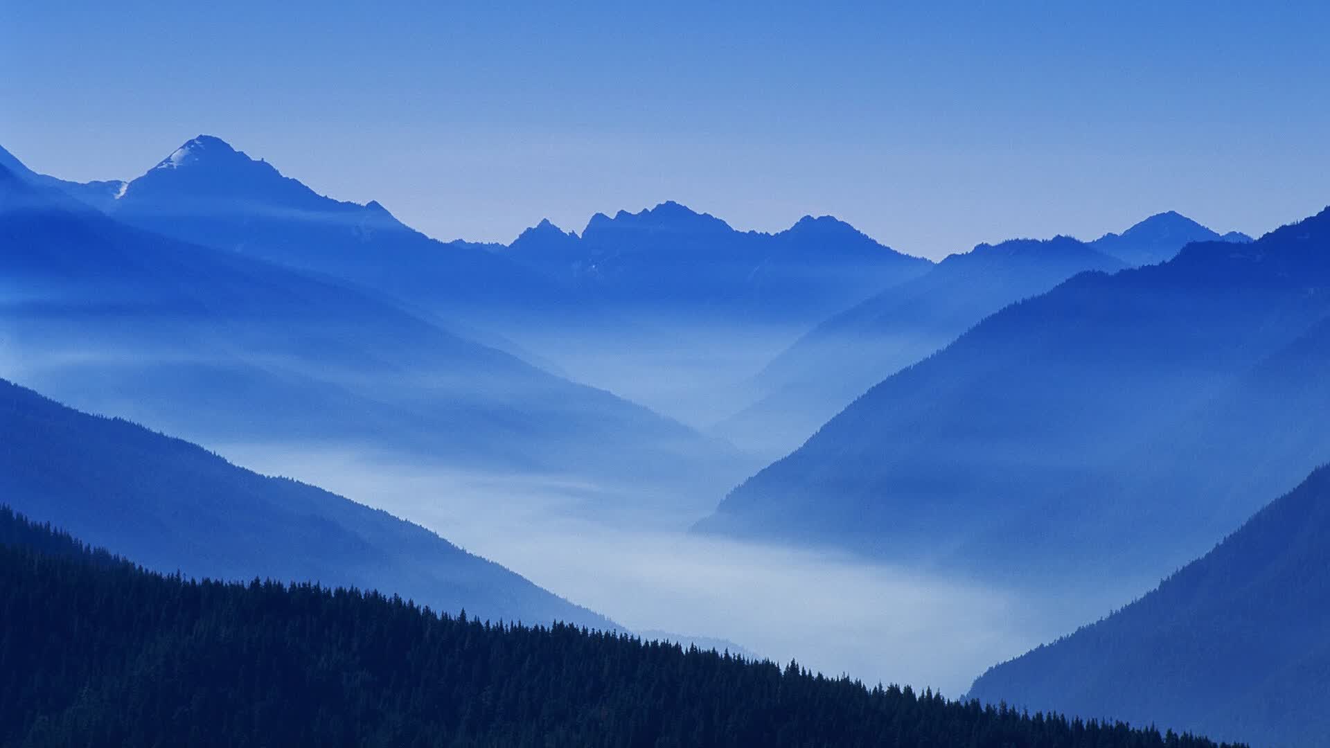 世界田径赛事环保办赛指南成为范本，世界田径竞标赛